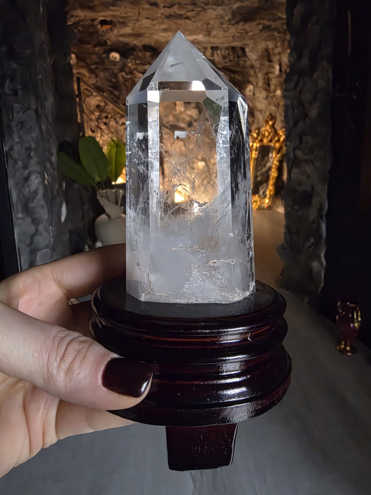 Lemuryan Dikit - Görsel 2