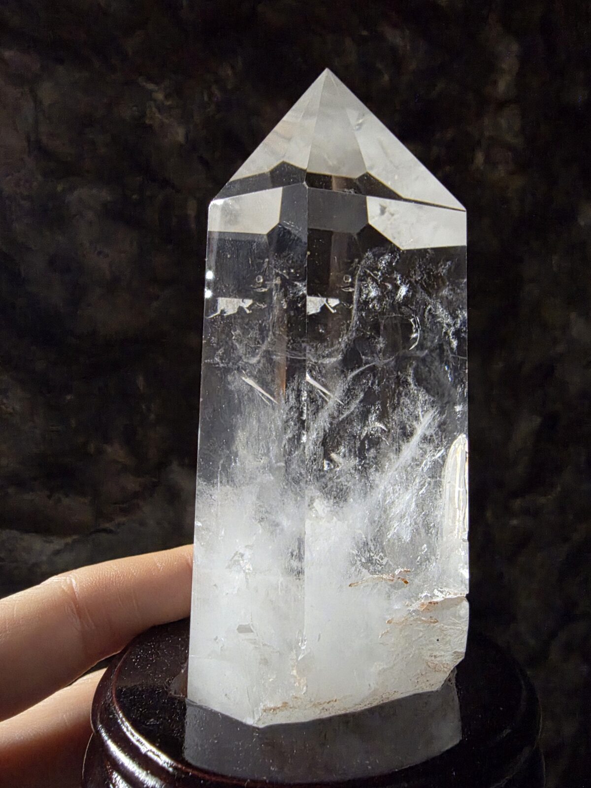 Lemuryan Dikit - Görsel 4