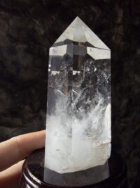 Lemuryan Dikit - Görsel 4