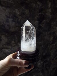 Lemuryan Dikit - Görsel 3