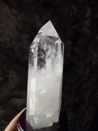 Lemuryan Dikit - Görsel 3