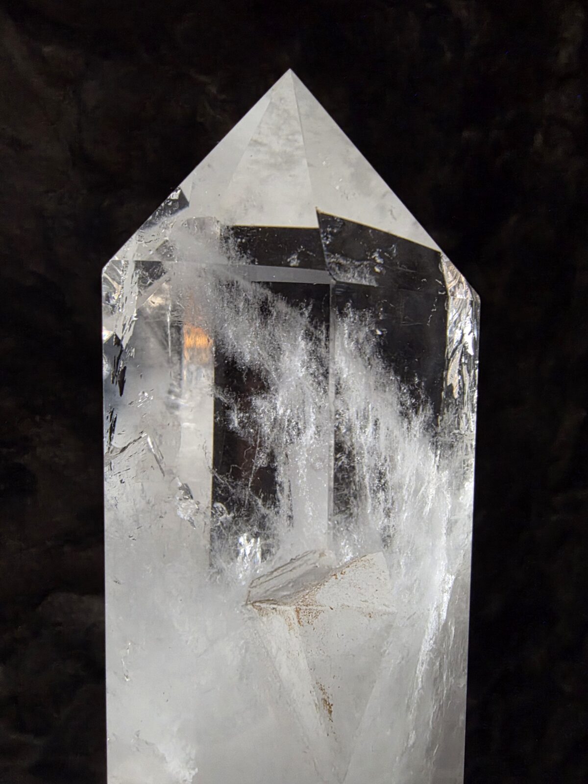 Lemuryan Dikit - Görsel 2