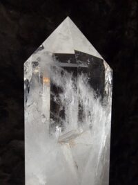 Lemuryan Dikit - Görsel 2