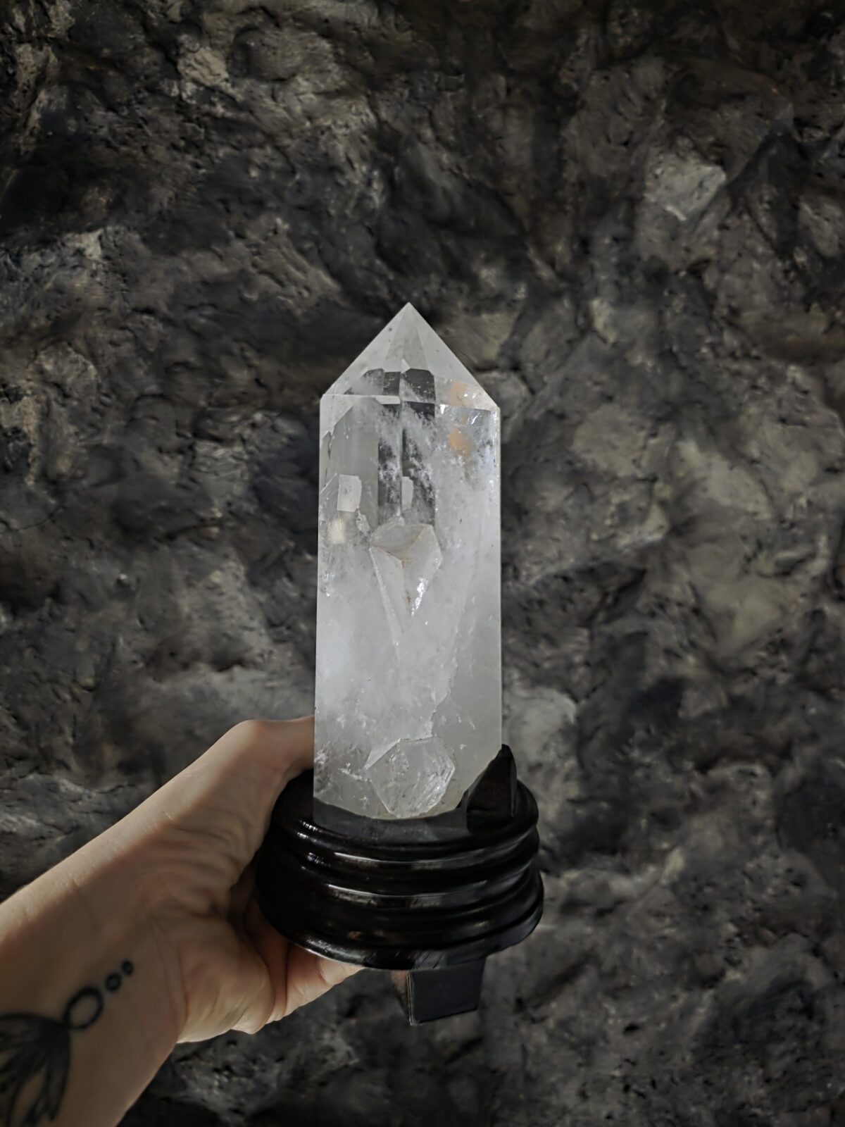 Lemuryan Dikit - Görsel 4