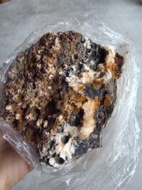 CERUSSITE MİNERALİ GEM - Görsel 2