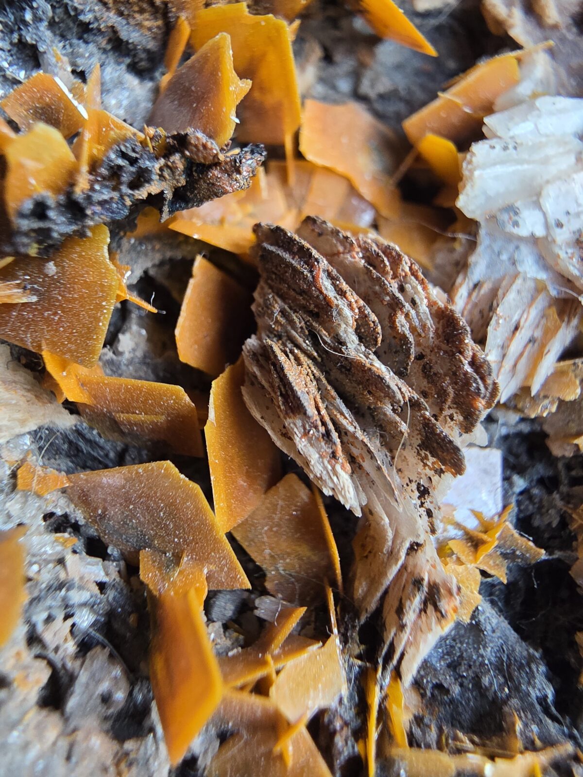 CERUSSITE MİNERALİ GEM - Görsel 5