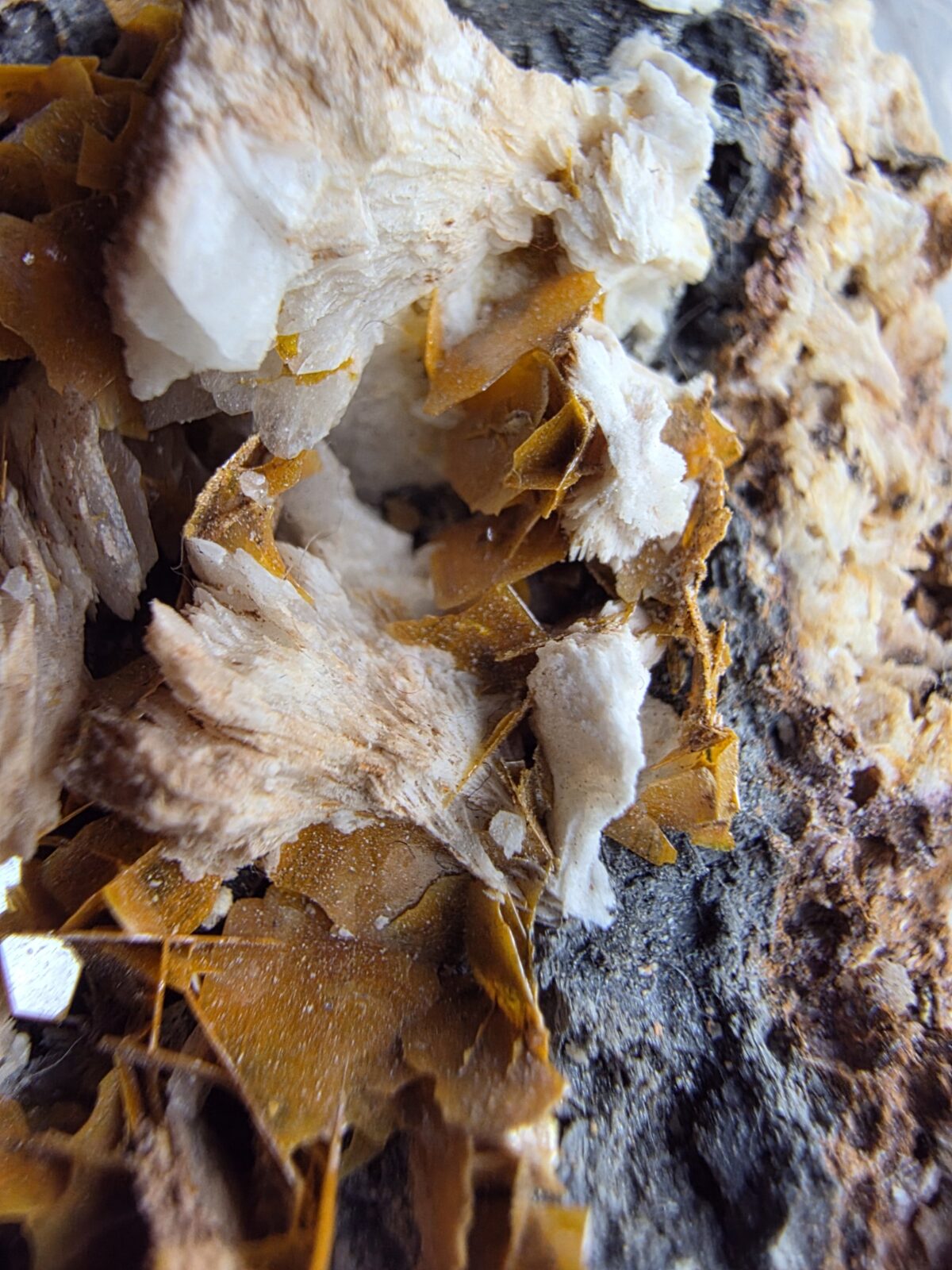 CERUSSITE MİNERALİ GEM - Görsel 4