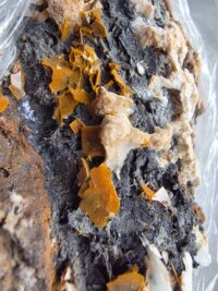 CERUSSITE MİNERALİ GEM - Görsel 2