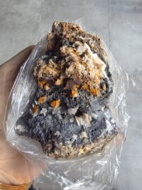 CERUSSITE MİNERALİ GEM