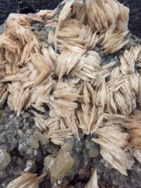 STANDLI CERUSSITE MİNERALİ GEM - Görsel 3