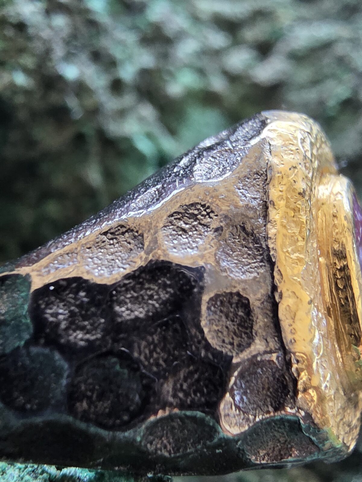 Yakut Yüzük - Görsel 4