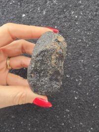 Dev Cintemani - Görsel 2