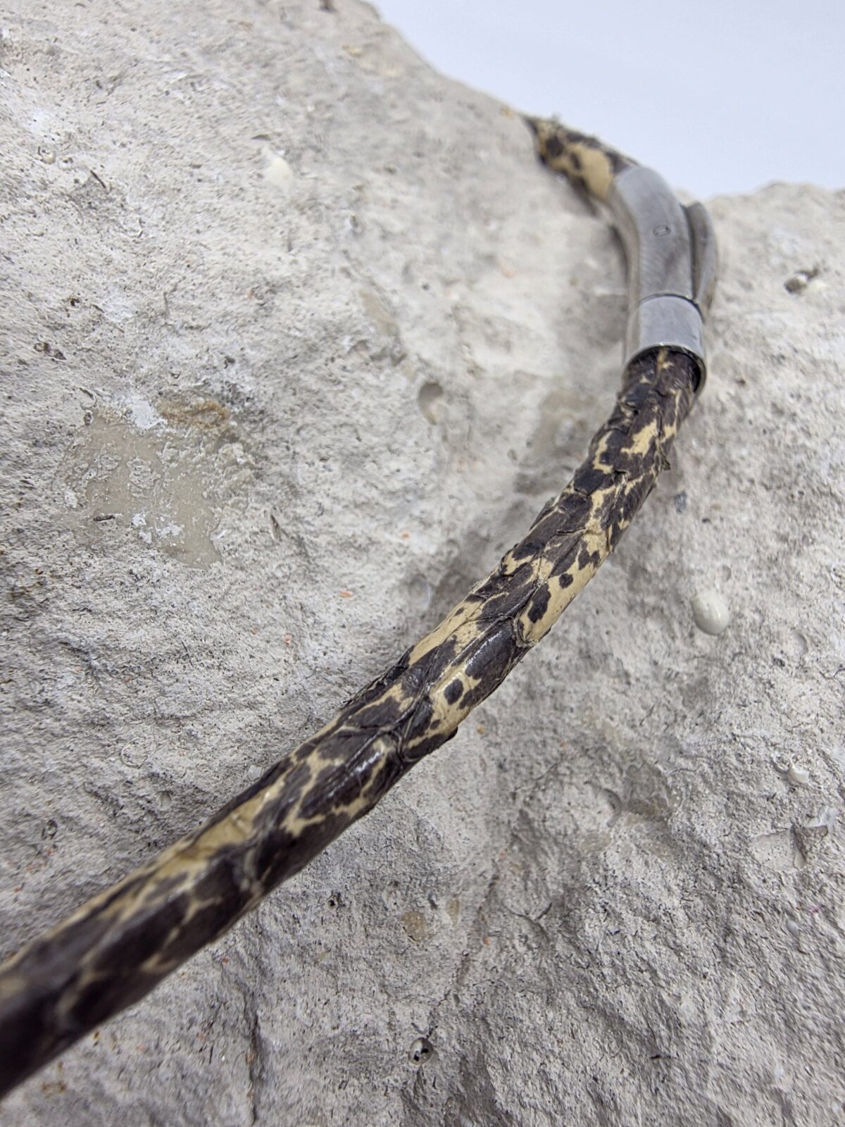 Piton Turkuaz Mercan - Görsel 3