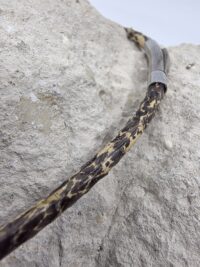 Piton Turkuaz Mercan - Görsel 3