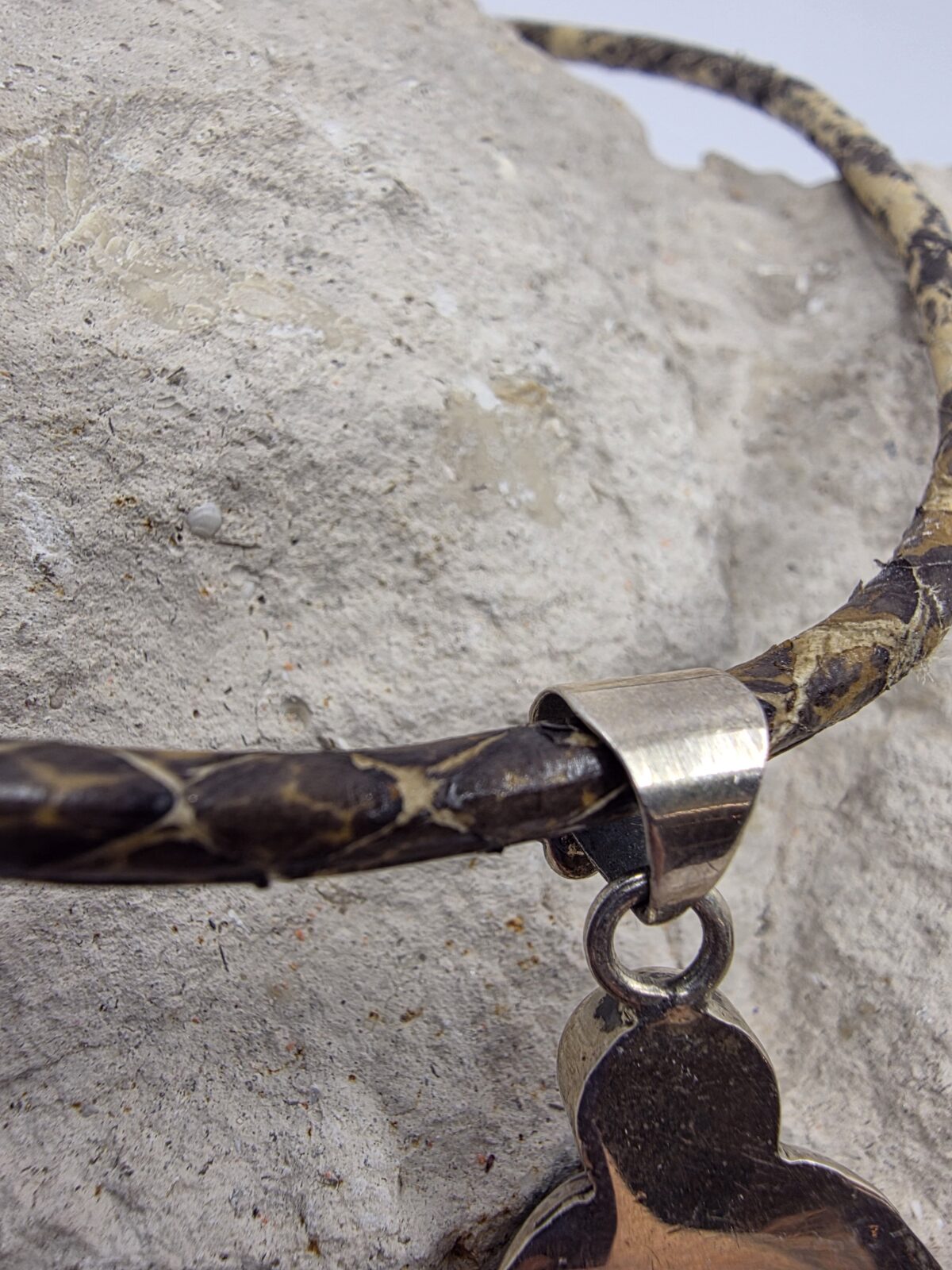 Piton Turkuaz Mercan - Görsel 2