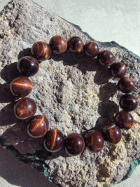 Kızıl Kaplangözü - Görsel 6