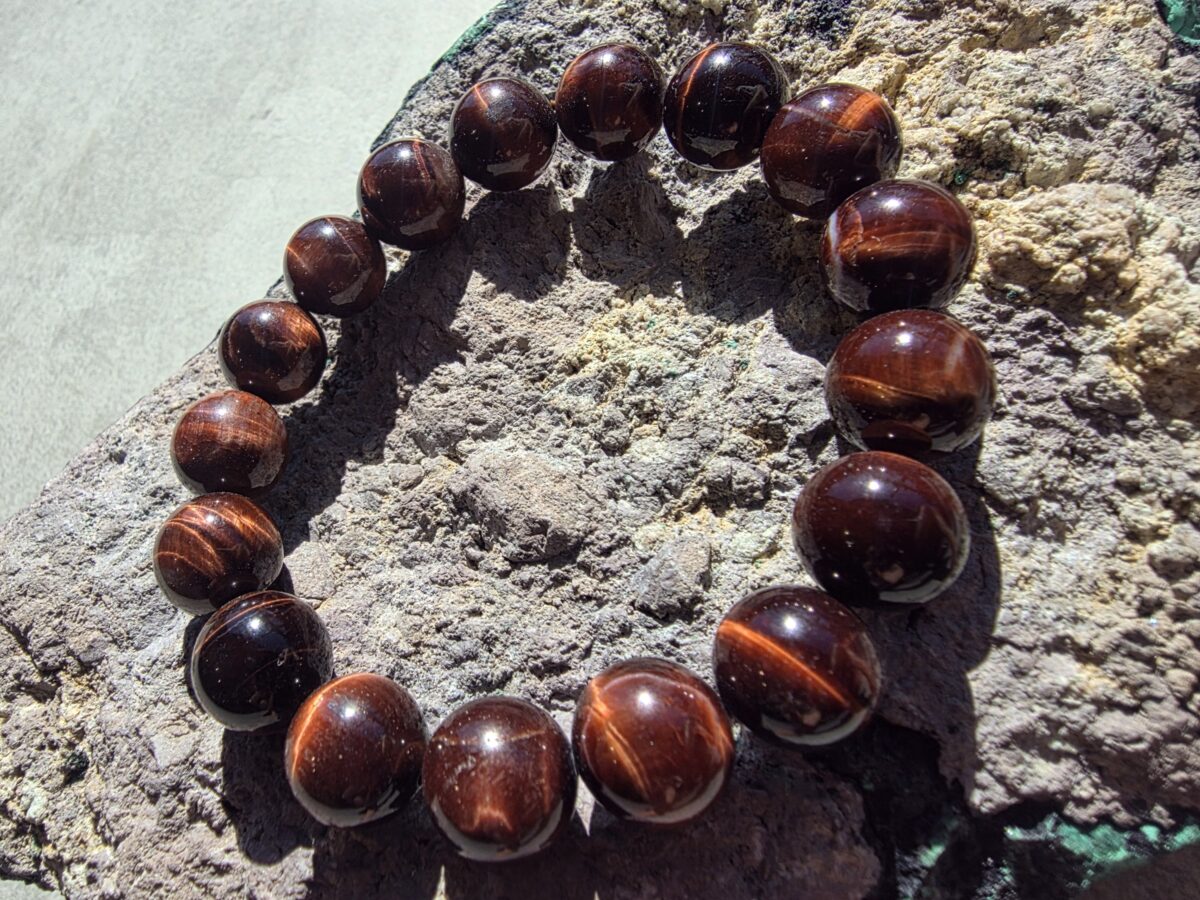 Kızıl Kaplangözü - Görsel 2