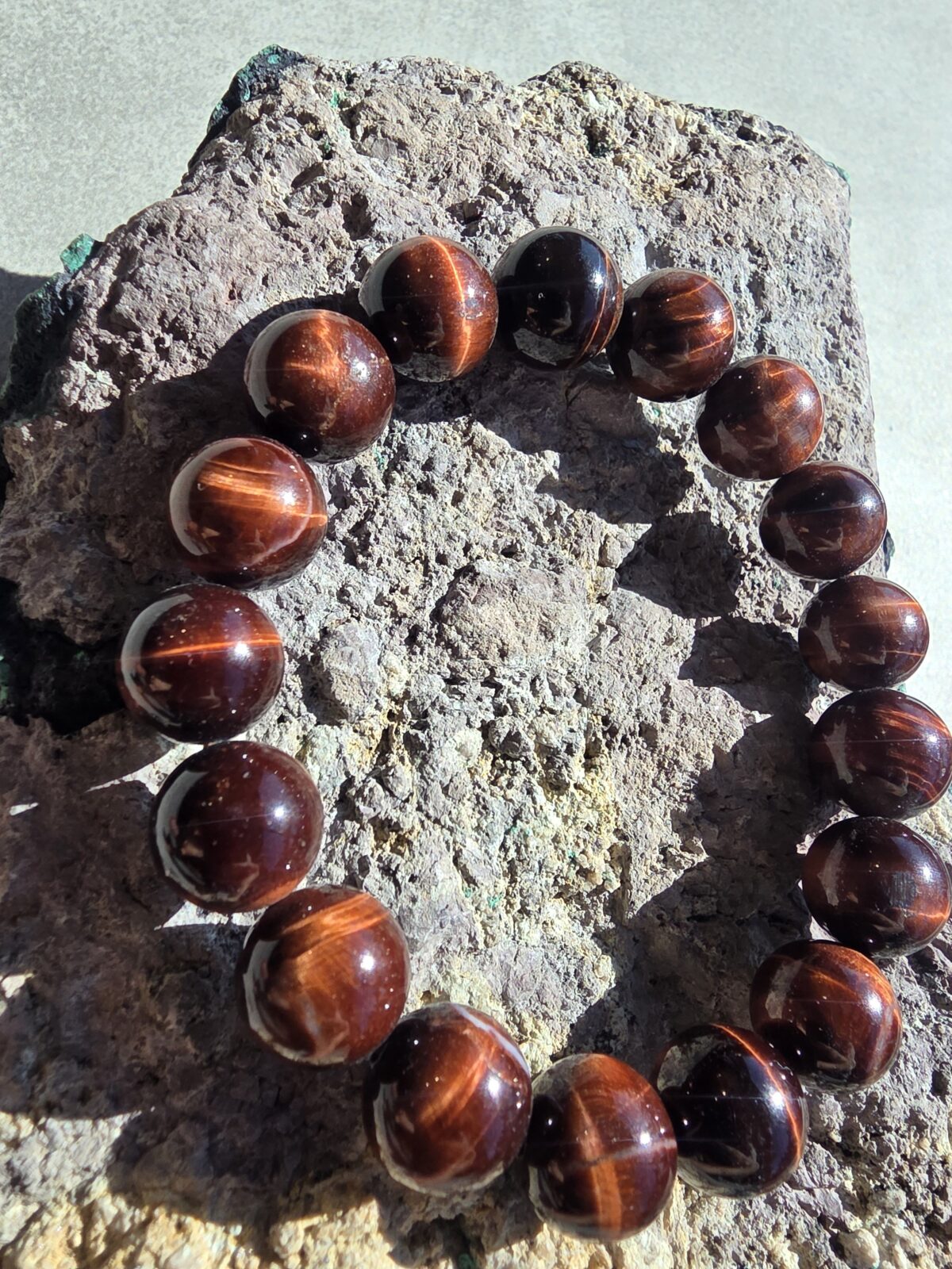 Kızıl Kaplangözü - Görsel 4