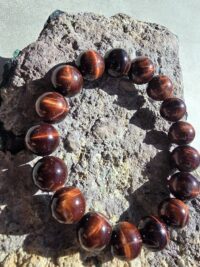 Kızıl Kaplangözü - Görsel 4