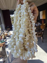 12.3-Hikayemin Kabuğu - Görsel 4