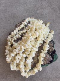 12.3-Hikayemin Kabuğu - Görsel 7