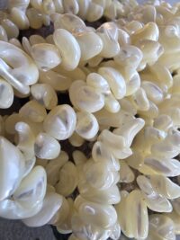 12.3-Hikayemin Kabuğu - Görsel 8