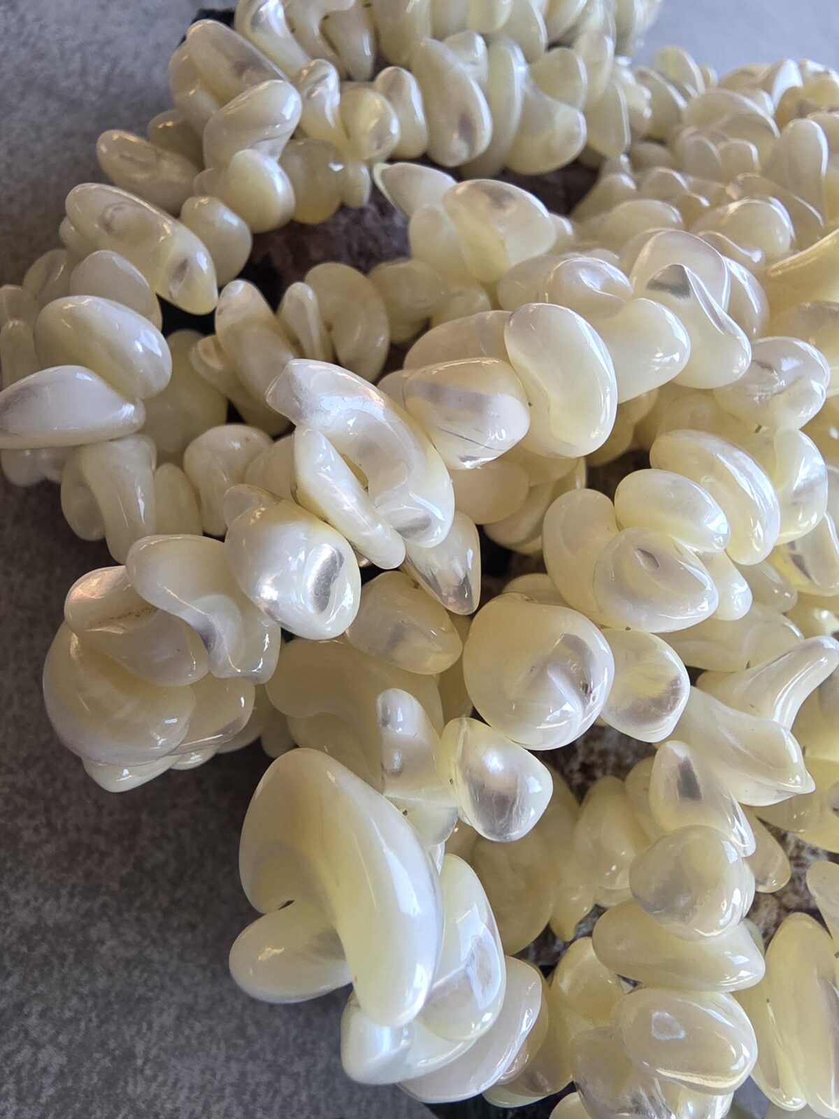 12.3-Hikayemin Kabuğu - Görsel 6