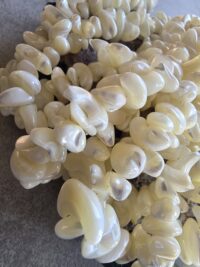 12.3-Hikayemin Kabuğu - Görsel 6