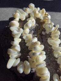 12.3-Hikayemin Kabuğu - Görsel 5