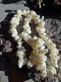 12.3-Hikayemin Kabuğu - Görsel 11