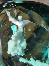 Yeşil Andara-Özel Koleksiyon